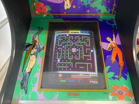 1981 Universal Lady Bug Upright Arcade Machine Image